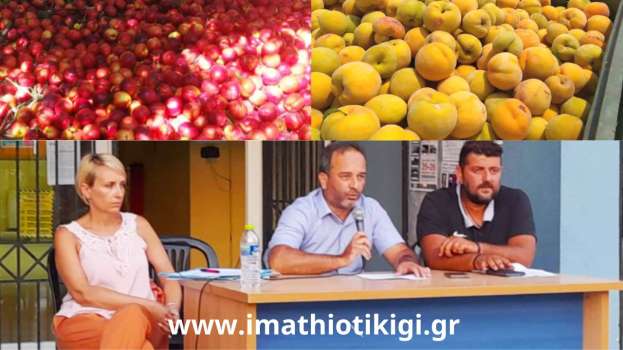 &Tau;&alpha; &pi;&rho;&omicron;&beta;&lambda;ή&mu;&alpha;&tau;&alpha; &tau;&omega;&nu; &rho;&omicron;&delta;&alpha;&kappa;&iota;&nu;&omicron;&pi;&alpha;&rho;&alpha;&gamma;&omega;&gamma;ώ&nu; &kappa;&alpha;&iota; ό&sigma;&alpha; &epsilon;&iota;&pi;ώ&theta;&eta;&kappa;&alpha;&nu; &sigma;&tau;&eta; &Gamma;&epsilon;&nu;&iota;&kappa;ή &Sigma;&upsilon;&nu;έ&lambda;&epsilon;&upsilon;&sigma;&eta; &tau;&omicron;&upsilon; &Alpha;&Sigma; &Eta;&mu;&alpha;&theta;ί&alpha;&sigmaf; (&Beta;ί&nu;&tau;&epsilon;&omicron;)