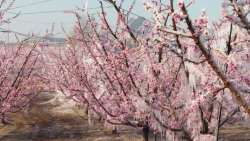 &Kappa;&omicron;&iota;&nu;&omicron;&pi;&omicron;ί&eta;&sigma;&eta; &pi;ί&nu;&alpha;&kappa;&alpha; (&omicron;&rho;&iota;&sigma;&tau;&iota;&kappa;ό&sigmaf;) &epsilon;&pi;&alpha;&nu;&epsilon;&kappa;&tau;&iota;&mu;ή&sigma;&epsilon;&omega;&nu; &zeta;&eta;&mu;&iota;ώ&nu; &phi;&upsilon;&tau;&iota;&kappa;ή&sigmaf; &pi;&alpha;&rho;&alpha;&gamma;&omega;&gamma;ή&sigmaf; &tau;&eta;&sigmaf; &Tau;&omicron;&pi;&iota;&kappa;ή&sigmaf; &Kappa;&omicron;&iota;&nu;ό&tau;&eta;&tau;&alpha;&sigmaf; &Beta;έ&rho;&omicron;&iota;&alpha;&sigmaf; (&Beta;έ&rho;&omicron;&iota;&alpha; - &Mu;έ&sigma;&eta; &ndash; &Lambda;&alpha;&zeta;&omicron;&chi;ώ&rho;&iota; &ndash; &Tau;&alpha;&gamma;&alpha;&rho;&omicron;&chi;ώ&rho;&iota;)