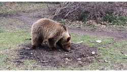 &Tau;&iota; &sigma;&upsilon;&mu;&beta;&alpha;ί&nu;&epsilon;&iota; &mu;&epsilon; &tau;&iota;&sigmaf; &alpha;&rho;&kappa;&omicron;ύ&delta;&epsilon;&sigmaf; &pi;&omicron;&upsilon; &kappa;&alpha;&tau;&epsilon;&beta;&alpha;ί&nu;&omicron;&upsilon;&nu; ό&lambda;&omicron; &kappa;&alpha;&iota; &pi;&iota;&omicron; &sigma;&upsilon;&chi;&nu;ά &sigma;&epsilon; &kappa;&alpha;&tau;&omicron;&iota;&kappa;&eta;&mu;έ&nu;&epsilon;&sigmaf; &pi;&epsilon;&rho;&iota;&omicron;&chi;έ&sigmaf; &tau;&eta;&sigmaf; &Delta;. &Mu;&alpha;&kappa;&epsilon;&delta;&omicron;&nu;ί&alpha;&sigmaf;