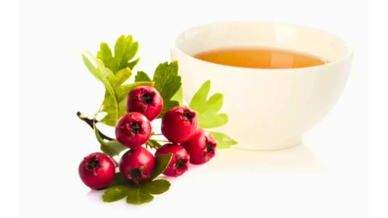 &Omicron;&iota; &theta;&epsilon;&rho;&alpha;&pi;&epsilon;&upsilon;&tau;&iota;&kappa;έ&sigmaf; &iota;&delta;&iota;ό&tau;&eta;&tau;&epsilon;&sigmaf; &tau;&omicron;&upsilon; &kappa;&rho;ά&tau;&alpha;&iota;&gamma;&omicron;&upsilon; &kappa;&alpha;&iota; &pi;ώ&sigmaf; &nu;&alpha; &tau;&omicron;&nu; &chi;&rho;&eta;&sigma;&iota;&mu;&omicron;&pi;&omicron;&iota;ή&sigma;&epsilon;&tau;&epsilon;