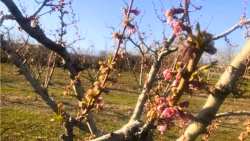 &Tau;έ&lambda;&omicron;&sigmaf; &Phi;&lambda;&epsilon;&beta;ά&rho;&eta; &kappa;&alpha;&iota; &nu;έ&alpha; &pi;&lambda;&eta;&rho;&omega;&mu;ή &Epsilon;&Lambda;&Gamma;&Alpha; - &Pi;ό&tau;&epsilon; &omicron;&lambda;&omicron;&kappa;&lambda;&eta;&rho;ώ&nu;&omicron;&nu;&tau;&alpha;&iota; &omicron;&iota; &pi;&lambda;&eta;&rho;&omega;&mu;έ&sigmaf; &gamma;&iota;&alpha; &tau;&omicron;&upsilon;&sigmaf; &pi;&alpha;&gamma;&epsilon;&tau;&omicron;ύ&sigmaf; &tau;&eta;&sigmaf; ά&nu;&omicron;&iota;&xi;&eta;&sigmaf;