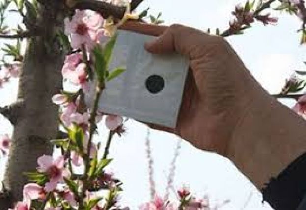 &Alpha;&nu;&alpha;&kappa;&omicron;ί&nu;&omega;&sigma;&eta; &tau;&omicron;&upsilon; &Omicron;.&Pi;.&Epsilon;.&Kappa;.&Epsilon;.&Pi;.&Epsilon;. &sigma;&chi;&epsilon;&tau;&iota;&kappa;ά &mu;&epsilon; &tau;&eta;&nu; &pi;&lambda;&eta;&rho;&omega;&mu;ή &gamma;&iota;&alpha; &tau;&omicron; &kappa;&omicron;&mu;&phi;&omicron;ύ&zeta;&iota;&omicron;