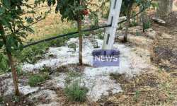 &Kappa;&alpha;&sigma;&tau;&omicron;&rho;&iota;ά: &Sigma;&phi;&omicron;&delta;&rho;ή &chi;&alpha;&lambda;&alpha;&zeta;ό&pi;&tau;&omega;&sigma;&eta; &kappa;&alpha;&tau;έ&sigma;&tau;&rho;&epsilon;&psi;&epsilon; &mu;&eta;&lambda;&omicron;&kappa;&alpha;&lambda;&lambda;&iota;έ&rho;&gamma;&epsilon;&iota;&epsilon;&sigmaf; &tau;&omicron;&upsilon; &Tau;&omicron;&iota;&chi;&iota;&omicron;ύ &kappa;&alpha;&iota; &tau;&omicron;&upsilon; &Kappa;&epsilon;&phi;&alpha;&lambda;&alpha;&rho;ί&omicron;&upsilon;