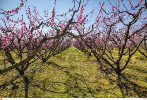 &Eta;&mu;&alpha;&theta;ί&alpha;: &Pi;&omega;&lambda;&epsilon;ί&tau;&alpha;&iota; &chi;&omega;&rho;ά&phi;&iota; 3 &sigma;&tau;&rho;έ&mu;&mu;&alpha;&tau;&alpha;