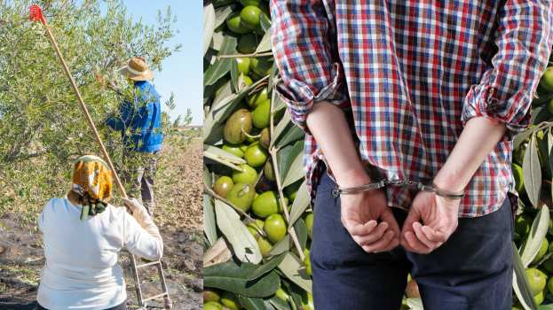 &Alpha;&nu;&delta;&rho;ό&gamma;&upsilon;&nu;&omicron; "&pi;&iota;ά&sigma;&tau;&eta;&kappa;&epsilon;" &nu;&alpha; &mu;&alpha;&zeta;&epsilon;ύ&epsilon;&iota; &epsilon;&lambda;&iota;έ&sigmaf; &sigma;&epsilon; &xi;έ&nu;&omicron; &chi;&omega;&rho;ά&phi;&iota; - &Sigma;&upsilon;&nu;&epsilon;&lambda;ή&phi;&theta;&eta; &omicron; ά&nu;&tau;&rho;&alpha;&sigmaf; &epsilon;&nu;ώ &eta; &gamma;&upsilon;&nu;&alpha;ί&kappa;&alpha; &kappa;&alpha;&tau;ά&phi;&epsilon;&rho;&epsilon; &nu;&alpha; &xi;&epsilon;&phi;ύ&gamma;&epsilon;&iota; &kappa;&alpha;&iota; &alpha;&nu;&alpha;&zeta;&eta;&tau;&epsilon;ί&tau;&alpha;&iota;