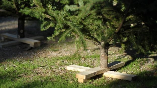 &Chi;&alpha;&mu;ό&gamma;&epsilon;&lambda;&alpha; &iota;&kappa;&alpha;&nu;&omicron;&pi;&omicron;ί&eta;&sigma;&eta;&sigmaf; &gamma;&iota;&alpha; &tau;&omicron; &phi;&epsilon;&tau;&iota;&nu;ό &rho;&epsilon;&kappa;ό&rho; &pi;&omega;&lambda;ή&sigma;&epsilon;&omega;&nu; &epsilon;&lambda;ά&tau;&omega;&nu;