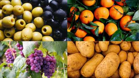 &Tau;&omicron; &delta;&iota;&alpha;&phi;&upsilon;&lambda;&lambda;&iota;&kappa;ό &lambda;ί&pi;&alpha;&sigma;&mu;&alpha; &pi;&omicron;&upsilon; &delta;&iota;&epsilon;&gamma;&epsilon;ί&rho;&epsilon;&iota; &tau;&eta;&nu; &alpha;&nu;ά&pi;&tau;&upsilon;&xi;&eta; &kappa;&alpha;&iota; &tau;&eta;&nu; &alpha;ύ&xi;&eta;&sigma;&eta; &tau;&omicron;&upsilon; &mu;&epsilon;&gamma;έ&theta;&omicron;&upsilon;&sigmaf; &tau;&omega;&nu; &kappa;&alpha;&rho;&pi;ώ&nu;