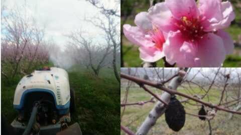 &Theta;&rho;ί&pi;&epsilon;&sigmaf;, &kappa;&lambda;&epsilon;&omicron;&nu;ό&sigmaf; &kappa;&alpha;&iota; &mu;&omicron;&nu;ί&lambda;&iota;&alpha; - &Pi;&omicron;&iota;&epsilon;&sigmaf; &epsilon;&pi;&epsilon;&mu;&beta;ά&sigma;&epsilon;&iota;&sigmaf; &kappa;&alpha;&iota; &kappa;&alpha;&lambda;&lambda;&iota;&epsilon;&rho;&gamma;&eta;&tau;&iota;&kappa;έ&sigmaf; &phi;&rho;&omicron;&nu;&tau;ί&delta;&epsilon;&sigmaf; &pi;&rho;έ&pi;&epsilon;&iota; &nu;&alpha; &gamma;ί&nu;&omicron;&upsilon;&nu;