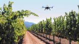 &Pi;&omicron;&iota;&omicron;&sigmaf; &omicron; &rho;ό&lambda;&omicron;&sigmaf; &tau;&omega;&nu; drones &sigma;&tau;&alpha; &chi;&omega;&rho;ά&phi;&iota;&alpha;