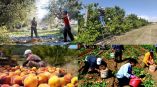 &Epsilon;&rho;&gamma;ά&tau;&epsilon;&sigmaf; &gamma;&eta;&sigmaf;: &Pi;&alpha;&rho;ά&tau;&alpha;&sigma;&eta; &pi;&alpha;&rho;&alpha;&mu;&omicron;&nu;ή&sigmaf; έ&omega;&sigmaf; &kappa;&alpha;&iota; 3 &mu;ή&nu;&epsilon;&sigmaf; - &Pi;&omicron;&iota;&alpha; &tau;&alpha; &alpha;&pi;&alpha;&iota;&tau;&omicron;ύ&mu;&epsilon;&nu;&alpha; &delta;&iota;&kappa;&alpha;&iota;&omicron;&lambda;&omicron;&gamma;&eta;&tau;&iota;&kappa;ά &amp; &tau;&iota; &iota;&sigma;&chi;ύ&epsilon;&iota; &gamma;&iota;&alpha; έ&xi;&omicron;&delta;&omicron; &kappa;&alpha;&iota; &epsilon;&pi;&alpha;&nu;&epsilon;ί&sigma;&omicron;&delta;&omicron; &sigma;&tau;&eta;&nu; &chi;ώ&rho;&alpha;