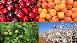 &Upsilon;&pi;&omicron;&beta;&omicron;&lambda;ή &delta;&eta;&lambda;ώ&sigma;&epsilon;&omega;&nu; &zeta;&eta;&mu;&iota;ά&sigmaf; &alpha;&pi;ό &tau;&omicron; &chi;&alpha;&lambda;ά&zeta;&iota; &kappa;&alpha;&iota; &tau;&eta; &beta;&rho;&omicron;&chi;ό&pi;&tau;&omega;&sigma;&eta; &tau;&eta;&sigmaf; 17/5/23 &sigma;&tau;&omicron; &Mu;&alpha;&kappa;&rho;&omicron;&chi;ώ&rho;&iota; &kappa;&alpha;&iota; &Delta;&iota;&alpha;&beta;&alpha;&tau;ό &sigma;&tau;&omicron; &Delta;ή&mu;&omicron; &Beta;έ&rho;&omicron;&iota;&alpha;&sigmaf;