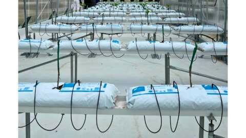 &Epsilon;&kappa;&delta;ή&lambda;&omega;&sigma;&eta; &pi;&alpha;&rho;&omicron;&upsilon;&sigma;ί&alpha;&sigma;&eta;&sigmaf; &laquo;έ&xi;&upsilon;&pi;&nu;&omicron;&upsilon; &kappa;&alpha;&iota; &psi;&eta;&phi;&iota;&alpha;&kappa;&omicron;ύ &theta;&epsilon;&rho;&mu;&omicron;&kappa;&eta;&pi;ί&omicron;&upsilon;&raquo; &alpha;&pi;ό &tau;&eta;&nu; &Alpha;&mu;&epsilon;&rho;&iota;&kappa;&alpha;&nu;&iota;&kappa;ή &Gamma;&epsilon;&omega;&rho;&gamma;&iota;&kappa;ή &Sigma;&chi;&omicron;&lambda;ή &kappa;&alpha;&iota; &tau;&eta; Cisco