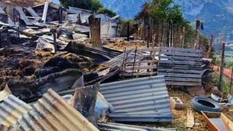 &Epsilon;&kappa;&tau;&epsilon;&tau;&alpha;&mu;έ&nu;&epsilon;&sigmaf; &zeta;&eta;&mu;&iota;έ&sigmaf; &sigma;&epsilon; &kappa;&tau;&eta;&nu;&omicron;&tau;&rho;&omicron;&phi;&iota;&kappa;ή &mu;&omicron;&nu;ά&delta;&alpha; - &Kappa;&epsilon;&rho;&alpha;&upsilon;&nu;ό&sigmaf; &sigma;&kappa;ό&tau;&omega;&sigma;&epsilon; 150 &zeta;ώ&alpha; &sigma;&tau;&eta;&nu; &Alpha;&iota;&tau;&omega;&lambda;&omicron;&alpha;&kappa;&alpha;&rho;&nu;&alpha;&nu;ί&alpha;