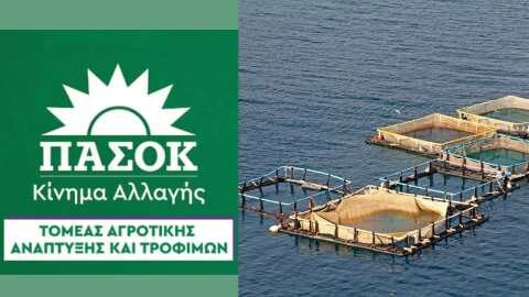 &Kappa;&omicron;&iota;&nu;ή &alpha;&nu;&alpha;&kappa;&omicron;ί&nu;&omega;&sigma;&eta; &Mu;&alpha;&nu;ό&lambda;&eta; &Chi;&nu;ά&rho;&eta; - &Chi;&rho;&iota;&sigma;&tau;ί&nu;&alpha;&sigmaf; &Sigma;&tau;&alpha;&rho;&alpha;&kappa;ά, &upsilon;&pi;&epsilon;ύ&theta;&upsilon;&nu;&omega;&nu; &Kappa;.&Tau;.&Epsilon;. &Alpha;&gamma;&rho;&omicron;&tau;&iota;&kappa;ή&sigmaf; &Alpha;&nu;ά&pi;&tau;&upsilon;&xi;&eta;&sigmaf; &kappa;&alpha;&iota; &tau;&omicron;&upsilon; &omicron;&mu;ώ&nu;&upsilon;&mu;&omicron;&upsilon; &Tau;&omicron;&mu;έ&alpha; &tau;&omicron;&upsilon; &Pi;&Alpha;&Sigma;&Omicron;&Kappa;-&Kappa;&iota;&nu;ή&mu;&alpha;&tau;&omicron;&sigmaf; &Alpha;&lambda;&lambda;&alpha;&gamma;ή&sigmaf;
