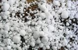 &Theta;&upsilon;&epsilon;&lambda;&lambda;ώ&delta;&epsilon;&iota;&sigmaf; ά&nu;&epsilon;&mu;&omicron;&iota; &kappa;&alpha;&iota; &chi;&alpha;&lambda;&alpha;&zeta;ό&pi;&tau;&omega;&sigma;&eta; &pi;&rho;&omicron;&kappa;ά&lambda;&epsilon;&sigma;&alpha;&nu; &mu;&epsilon;&gamma;ά&lambda;&epsilon;&sigmaf; &zeta;&eta;&mu;&iota;έ&sigmaf;  - &Pi;&epsilon;&rho;&iota;&omicron;&chi;έ&sigmaf; &pi;&omicron;&upsilon; "&chi;&tau;&upsilon;&pi;ή&theta;&eta;&kappa;&alpha;&nu;" &alpha;&pi;ό &tau;&eta; &theta;&epsilon;&omicron;&mu;&eta;&nu;ί&alpha; (&Beta;ί&nu;&tau;&epsilon;&omicron;)