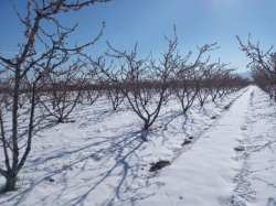 &Kappa;&omicron;&iota;&nu;&omicron;&pi;&omicron;ί&eta;&sigma;&eta; &Pi;&omicron;&rho;&iota;&sigma;&mu;ά&tau;&omega;&nu; &Epsilon;&Lambda;.&Gamma;.&Alpha;. &tau;&eta;&sigmaf; &Kappa;&omicron;&iota;&nu;ό&tau;&eta;&tau;&alpha;&sigmaf; &Mu;&Alpha;&Kappa;&Rho;&Omicron;&Chi;&Omega;&Rho;&Iota;&Omicron;&Upsilon; &alpha;&pi;ό &tau;&omicron;  &Pi;&Alpha;&Gamma;&Epsilon;&Tau;&Omicron; &tau;&eta;&sigmaf; 30/3/2023