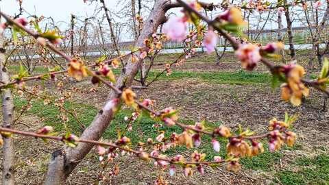 &Delta;&epsilon;&sigmaf; &pi;&omega;&sigmaf; &nu;&alpha; &pi;&rho;&omicron;&sigma;&tau;&alpha;&tau;&epsilon;ύ&sigma;&epsilon;&iota;&sigmaf; &tau;&iota;&sigmaf; &Kappa;&alpha;&lambda;&lambda;&iota;έ&rho;&gamma;&epsilon;&iota;έ&sigmaf; &sigma;&omicron;&upsilon; &alpha;&pi;ό &tau;&omicron; Stress &tau;&omicron;&upsilon; &Pi;&alpha;&gamma;&epsilon;&tau;&omicron;ύ!