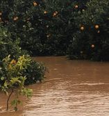 &Epsilon;&kappa;&tau;&epsilon;&tau;&alpha;&mu;έ&nu;&alpha; &pi;&lambda;&eta;&mu;&mu;&upsilon;&rho;&iota;&kappa;ά &phi;&alpha;&iota;&nu;ό&mu;&epsilon;&nu;&alpha; έ&pi;&lambda;&eta;&xi;&alpha;&nu; &tau;&eta;&nu; &pi;&epsilon;&rho;&iota;&omicron;&chi;ή &tau;&omicron;&upsilon; &Delta;. &Epsilon;&upsilon;&rho;ώ&tau;&alpha; - &Pi;&lambda;&eta;&mu;&mu;ύ&rho;&iota;&sigma;&alpha;&nu; &kappa;&alpha;&lambda;&lambda;&iota;έ&rho;&gamma;&epsilon;&iota;&epsilon;&sigmaf; (&Beta;ί&nu;&tau;&epsilon;&omicron;)