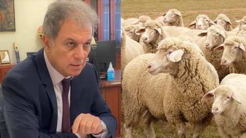 &Epsilon;&upsilon;&lambda;&omicron;&gamma;&iota;ά: &Epsilon;&pi;&iota;&sigma;&tau;&omicron;&lambda;ή &Gamma;&iota;ώ&rho;&gamma;&omicron;&upsilon; &Alpha;&mu;&alpha;&nu;&alpha;&tau;ί&delta;&eta; &pi;&rho;&omicron;&sigmaf; &tau;&omicron; &Upsilon;&pi;&omicron;&upsilon;&rho;&gamma;&epsilon;ί&omicron; &Alpha;&nu;ά&pi;&tau;&upsilon;&xi;&eta;&sigmaf; &gamma;&iota;&alpha; &tau;&eta;&nu; &alpha;&nu;&alpha;&theta;&epsilon;ώ&rho;&eta;&sigma;&eta; &tau;&eta;&sigmaf; &Pi;&epsilon;&rho;&alpha;&iota;&tau;έ&rho;&omega; &Alpha;&pi;&alpha;&gamma;&omicron;&rho;&epsilon;&upsilon;&mu;έ&nu;&eta;&sigmaf; &Zeta;ώ&nu;&eta;&sigmaf; &sigma;&tau;&eta;&nu; &Pi;.&Epsilon;. &Kappa;&omicron;&zeta;ά&nu;&eta;&sigmaf;