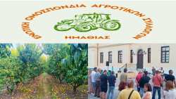 &Kappa;&iota;&nu;&eta;&tau;&omicron;&pi;&omicron;ί&eta;&sigma;&eta; &alpha;&gamma;&rho;&omicron;&tau;ώ&nu; &sigma;&tau;&omicron; &kappa;έ&nu;&tau;&rho;&omicron; &tau;&eta;&sigmaf; &Beta;έ&rho;&omicron;&iota;&alpha;&sigmaf; - &Pi;&omicron;&iota;&alpha; &tau;&alpha; &alpha;&iota;&tau;ή&mu;&alpha;&tau;&alpha; &pi;&omicron;&upsilon; &kappa;&alpha;&tau;έ&theta;&epsilon;&sigma;&alpha;&nu;