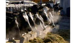 &Eta; &kappa;&tau;&eta;&nu;&omicron;&tau;&rho;&omicron;&phi;ί&alpha; &epsilon;&upsilon;&theta;ύ&nu;&epsilon;&tau;&alpha;&iota; &gamma;&iota;&alpha; &tau;&omicron; 12% &tau;&omega;&nu; &epsilon;&kappa;&pi;&omicron;&mu;&pi;ώ&nu; &alpha;&epsilon;&rho;ί&omicron;&upsilon; &tau;&omicron;&upsilon; &theta;&epsilon;&rho;&mu;&omicron;&kappa;&eta;&pi;ί&omicron;&upsilon; &sigma;ύ&mu;&phi;&omega;&nu;&alpha; &mu;&epsilon; έ&kappa;&theta;&epsilon;&sigma;&eta; &tau;&eta;&sigmaf; &Omicron;&rho;&gamma;ά&nu;&omega;&sigma;&eta;&sigmaf; &Tau;&rho;&omicron;&phi;ί&mu;&omega;&nu; &kappa;&alpha;&iota; &Gamma;&epsilon;&omega;&rho;&gamma;ί&alpha;&sigmaf; &tau;&omicron;&upsilon; &Omicron;&Eta;&Epsilon;