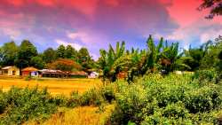 &Epsilon;&Epsilon;: &Omicron;&iota; &alpha;&gamma;&rho;&omicron;&tau;&iota;&kappa;έ&sigmaf; &pi;&epsilon;&rho;&iota;&omicron;&chi;έ&sigmaf; &pi;&alpha;&rho;&omicron;&upsilon;&sigma;&iota;ά&zeta;&omicron;&upsilon;&nu; &epsilon;&rho;ή&mu;&omega;&sigma;&eta;