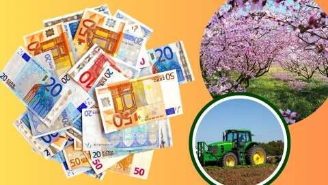 &Pi;ό&tau;&epsilon; &pi;&lambda;&eta;&rho;ώ&nu;&omicron;&nu;&tau;&alpha;&iota; &omicron;&iota;&kappa;&omicron;&lambda;&omicron;&gamma;&iota;&kappa;ά &sigma;&chi;ή&mu;&alpha;&tau;&alpha;, &sigma;&upsilon;&nu;&delta;&epsilon;&delta;&epsilon;&mu;έ&nu;&epsilon;&sigmaf;, &alpha;&pi;&omicron;&zeta;&eta;&mu;&iota;ώ&sigma;&epsilon;&iota;&sigmaf; &Epsilon;&Lambda;&Gamma;&Alpha; &kappa;&alpha;&iota; &Epsilon;&Phi;&Kappa; &tau;&omicron;&upsilon; &alpha;&gamma;&rho;&omicron;&tau;&iota;&kappa;&omicron;ύ &pi;&epsilon;&tau;&rho;&epsilon;&lambda;&alpha;ί&omicron;&upsilon;