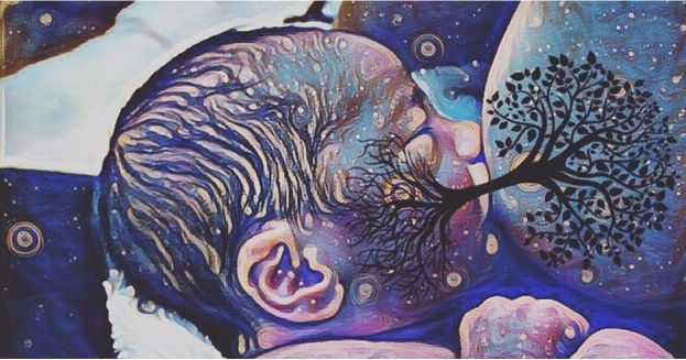 Έ&nu;&alpha; &delta;έ&nu;&tau;&rho;&omicron; &theta;&alpha; &phi;&upsilon;&tau;&epsilon;ύ&epsilon;&tau;&alpha;&iota; &gamma;&iota;&alpha; &kappa;ά&theta;&epsilon; &gamma;έ&nu;&nu;&eta;&sigma;&eta; &epsilon;&nu;ό&sigmaf; &mu;&omega;&rho;&omicron;ύ &sigma;&tau;&omicron; &Beta;έ&lambda;&gamma;&iota;&omicron;