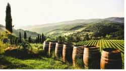 &Kappa;&Epsilon;&Omicron;&Sigma;&Omicron;&Epsilon;: &Eta; &gamma;&alpha;&lambda;&lambda;&iota;&kappa;ή &omicron;&iota;&nu;&omicron;&pi;&omicron;&iota;ί&alpha; &delta;&epsilon;&nu; &theta;έ&lambda;&epsilon;&iota; &nu;&alpha; &chi;ά&sigma;&epsilon;&iota; &tau;&eta;&nu; &epsilon;&upsilon;&kappa;&alpha;&iota;&rho;ί&alpha; &tau;&omicron;&upsilon; &nu;ό&mu;&omicron;&upsilon; Egalim 4