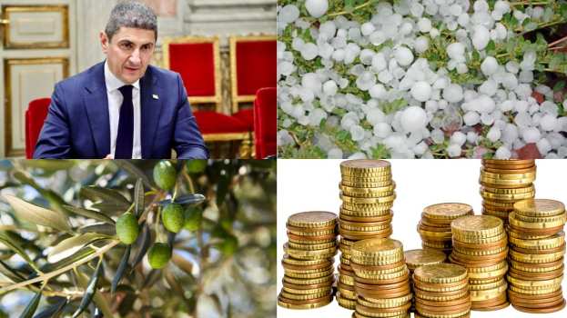 &Upsilon;&pi;&Alpha;&Alpha;&Tau;: &laquo;&Tau;&omicron;&mu;έ&sigmaf; &mu;&epsilon; &Tau;ό&lambda;&mu;&eta; - &Sigma;&tau;&omicron; &pi;&lambda;&epsilon;&upsilon;&rho;ό &tau;&omega;&nu; &alpha;&gamma;&rho;&omicron;&tau;ώ&nu; &mu;&epsilon; ά&mu;&epsilon;&sigma;&eta; &omicron;&iota;&kappa;&omicron;&nu;&omicron;&mu;&iota;&kappa;ή &sigma;&tau;ή&rho;&iota;&xi;&eta;, &epsilon;&pi;&iota;&delta;&omicron;&tau;ή&sigma;&epsilon;&iota;&sigmaf; &kappa;&alpha;&iota; &phi;&omicron;&rho;&omicron;&lambda;&omicron;&gamma;&iota;&kappa;ά &mu;έ&tau;&rho;&alpha;&raquo;