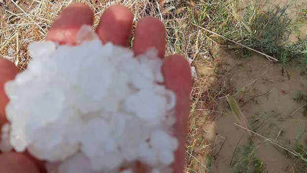 &Kappa;&alpha;&kappa;&omicron;&kappa;&alpha;&iota;&rho;ί&alpha; &sigma;&tau;&eta;&nu; &Alpha;&pi;&omicron;&upsilon;&lambda;ί&alpha; &chi;&alpha;&lambda;ά&zeta;&iota; &mu;&alpha;&sigma;&tau;ί&zeta;&epsilon;&iota; &tau;&omicron;&upsilon;&sigmaf; &omicron;&pi;&omega;&rho;ώ&nu;&epsilon;&sigmaf;