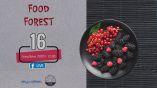 &Tau;&alpha; &laquo;Food Forest&raquo; &sigma;&tau;&omicron; facebook, 16/12/2020