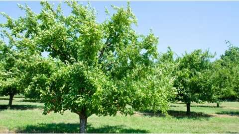 &Pi;&omicron;&iota;&epsilon;&sigmaf; &epsilon;ί&nu;&alpha;&iota; &omicron;&iota; &kappa;&alpha;&tau;ά&lambda;&lambda;&eta;&lambda;&epsilon;&sigmaf; &pi;&epsilon;&rho;&iota;&omicron;&chi;έ&sigmaf; &gamma;&iota;&alpha; &tau;&eta;&nu; &epsilon;&gamma;&kappa;&alpha;&tau;ά&sigma;&tau;&alpha;&sigma;&eta; &tau;&eta;&sigmaf; &delta;&alpha;&mu;&alpha;&sigma;&kappa;&eta;&nu;&iota;ά&sigmaf; &kappa;&alpha;&iota; &tau;&iota; &nu;&alpha; &pi;&rho;&omicron;&sigma;έ&xi;&epsilon;&tau;&epsilon;