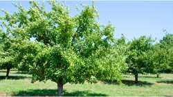 &Pi;&omicron;&iota;&epsilon;&sigmaf; &epsilon;ί&nu;&alpha;&iota; &omicron;&iota; &kappa;&alpha;&tau;ά&lambda;&lambda;&eta;&lambda;&epsilon;&sigmaf; &pi;&epsilon;&rho;&iota;&omicron;&chi;έ&sigmaf; &gamma;&iota;&alpha; &tau;&eta;&nu; &epsilon;&gamma;&kappa;&alpha;&tau;ά&sigma;&tau;&alpha;&sigma;&eta; &tau;&eta;&sigmaf; &delta;&alpha;&mu;&alpha;&sigma;&kappa;&eta;&nu;&iota;ά&sigmaf; &kappa;&alpha;&iota; &tau;&iota; &nu;&alpha; &pi;&rho;&omicron;&sigma;έ&xi;&epsilon;&tau;&epsilon;