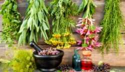 &Pi;&omicron;&iota;&omicron; &epsilon;ί&nu;&alpha;&iota; &tau;&omicron; &beta;ό&tau;&alpha;&nu;&omicron; &pi;&omicron;&upsilon; &rho;ί&chi;&nu;&epsilon;&iota; &tau;&omicron; &sigma;ά&kappa;&chi;&alpha;&rho;&omicron;