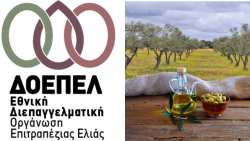 &Xi;&epsilon;&kappa;ί&nu;&eta;&sigma;&epsilon; &eta; &upsilon;&lambda;&omicron;&pi;&omicron;ί&eta;&sigma;&eta; &tau;&omicron;&upsilon; Έ&rho;&gamma;&omicron;&upsilon; &ldquo;GreekCert&rdquo;