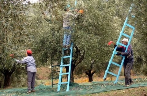 &Delta;&upsilon;&sigma;&epsilon;ύ&rho;&epsilon;&tau;&omicron;&iota; &omicron;&iota; &epsilon;&rho;&gamma;ά&tau;&epsilon;&sigmaf; &gamma;&eta;&sigmaf; - &Sigma;&omicron;&beta;&alpha;&rho;ό &pi;&rho;ό&beta;&lambda;&eta;&mu;&alpha; &gamma;&iota;&alpha; &tau;&eta; &sigma;&upsilon;&gamma;&kappa;&omicron;&mu;&iota;&delta;ή &tau;&omega;&nu; &pi;&rho;&omicron;ϊό&nu;&tau;&omega;&nu; &alpha;&nu;&tau;&iota;&mu;&epsilon;&tau;&omega;&pi;ί&zeta;&omicron;&upsilon;&nu; &omicron;&iota; &pi;&alpha;&rho;&alpha;&gamma;&omega;&gamma;&omicron;ί