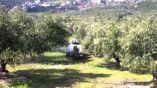 &Omicron;&delta;&eta;&gamma;ί&alpha; &psi;&epsilon;&kappa;&alpha;&sigma;&mu;&omicron;ύ &gamma;&iota;&alpha; &tau;&eta;&nu; &epsilon;&lambda;&iota;ά