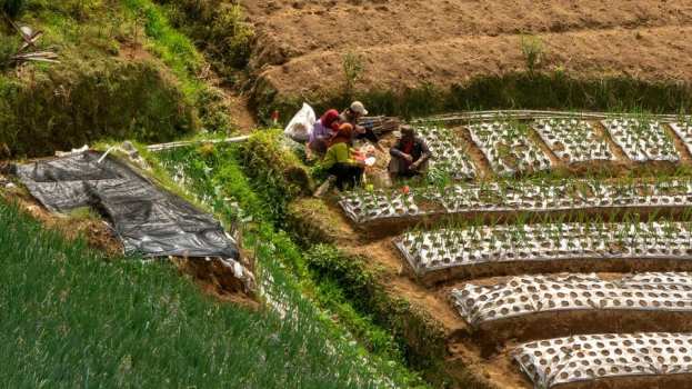 &Sigma;&upsilon;&nu;ά&nu;&tau;&eta;&sigma;&eta; &Beta;ί&omicron;-&Pi;&alpha;&rho;&alpha;&gamma;&omega;&gamma;ώ&nu; &Mu;&alpha;&gamma;&nu;&eta;&sigma;ί&alpha;&sigmaf; &tau;&eta;&nu; &Pi;έ&mu;&pi;&tau;&eta; 2 &Alpha;&pi;&rho;&iota;&lambda;ί&omicron;&upsilon; &sigma;&tau;&omicron; &Beta;ό&lambda;&omicron; | &Alpha;&gamma;&rho;&omicron;&tau;&iota;&kappa;ά &nu;έ&alpha; IMATHIOTIKIGI.GR