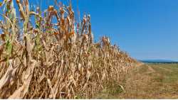 &Upsilon;&pi;&Alpha;&Alpha;&Tau;: &Sigma;ύ&sigma;&tau;&alpha;&sigma;&eta; ad hoc &omicron;&mu;ά&delta;&alpha;&sigmaf; &epsilon;&rho;&gamma;&alpha;&sigma;ί&alpha;&sigmaf; &gamma;&iota;&alpha; &tau;&omicron;&nu; &kappa;ί&nu;&delta;&upsilon;&nu;&omicron; &tau;&eta;&sigmaf; &xi;&eta;&rho;&alpha;&sigma;ί&alpha;&sigmaf; &sigma;&tau;&omicron;&nu; &alpha;&gamma;&rho;&omicron;&tau;&iota;&kappa;ό &tau;&omicron;&mu;έ&alpha;