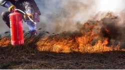 &Sigma;ύ&lambda;&lambda;&eta;&psi;&eta; &delta;ύ&omicron; &mu;&epsilon;&lambda;&iota;&sigma;&sigma;&omicron;&kappa;ό&mu;&omega;&nu; &gamma;&iota;&alpha; &tau;&eta;&nu; &pi;&upsilon;&rho;&kappa;&alpha;&gamma;&iota;ά &sigma;&tau;&omicron; &Gamma;ά&zeta;&omega;&rho;&omicron; &Sigma;&epsilon;&rho;&rho;ώ&nu; - &Pi;&rho;ό&sigma;&tau;&iota;&mu;&omicron; 3.881 &epsilon;&upsilon;&rho;ώ &alpha;&pi;ό &tau;&eta;&nu; &Pi;&upsilon;&rho;&omicron;&sigma;&beta;&epsilon;&sigma;&tau;&iota;&kappa;ή