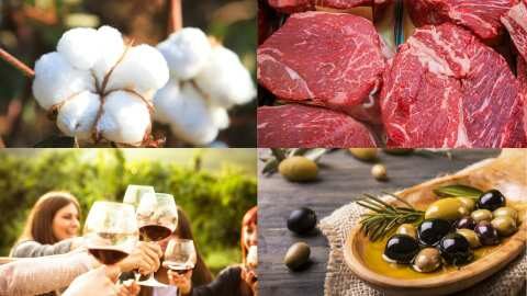 &Pi;&rho;ώ&tau;&eta; &kappa;&omicron;&iota;&nu;ή &epsilon;&kappa;&delta;ή&lambda;&omega;&sigma;&eta; &tau;&omega;&nu; 8 &alpha;&nu;&alpha;&gamma;&nu;&omega;&rho;&iota;&sigma;&mu;έ&nu;&omega;&nu; &alpha;&pi;ό &tau;&omicron; &Upsilon;&Pi;&Alpha;&Alpha;&Tau; &Delta;&iota;&epsilon;&pi;&alpha;&gamma;&gamma;&epsilon;&lambda;&mu;&alpha;&tau;&iota;&kappa;ώ&nu; &omicron;&rho;&gamma;&alpha;&nu;ώ&sigma;&epsilon;&omega;&nu;