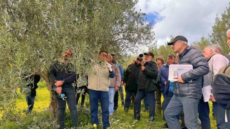 &Omicron;&lambda;&omicron;&kappa;&lambda;&eta;&rho;ώ&theta;&eta;&kappa;&alpha;&nu; &mu;&epsilon; &epsilon;&pi;&iota;&tau;&upsilon;&chi;ί&alpha; &omicron;&iota; &epsilon;&kappa;&pi;&alpha;&iota;&delta;&epsilon;&upsilon;&tau;&iota;&kappa;έ&sigmaf; &delta;&rho;ά&sigma;&epsilon;&iota;&sigmaf; &gamma;&iota;&alpha; &tau;&eta;&nu; &pi;&omicron;&iota;ό&tau;&eta;&tau;&alpha; &tau;&omicron;&upsilon; &Epsilon;&xi;&alpha;&iota;&rho;&epsilon;&tau;&iota;&kappa;&omicron;ύ &Pi;&alpha;&rho;&theta;έ&nu;&omicron;&upsilon; &Epsilon;&lambda;&alpha;&iota;&omicron;&lambda;ά&delta;&omicron;&upsilon; &laquo;&Kappa;&rho;ή&tau;&eta;&raquo; &sigma;&epsilon; Ά&delta;&epsilon;&lambda;&epsilon; &kappa;&alpha;&iota; &Kappa;&rho;&iota;&tau;&sigma;ά
