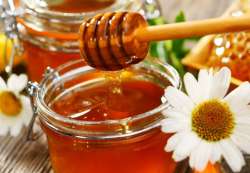 &Pi;&omicron;&iota;&epsilon;&sigmaf; &epsilon;&upsilon;&rho;&omega;&pi;&alpha;ϊ&kappa;έ&sigmaf; &chi;ώ&rho;&epsilon;&sigmaf; &lambda;&alpha;&tau;&rho;&epsilon;ύ&omicron;&upsilon;&nu; &tau;&omicron; &epsilon;&lambda;&lambda;&eta;&nu;&iota;&kappa;ό &mu;έ&lambda;&iota;, &tau;&alpha; &pi;&rho;&omicron;&beta;&lambda;ή&mu;&alpha;&tau;&alpha; &tau;&omega;&nu; &mu;&epsilon;&lambda;&iota;&sigma;&sigma;&omicron;&kappa;ό&mu;&omega;&nu;