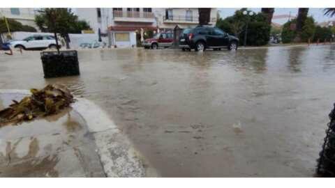 &Nu;&epsilon;&kappa;&rho;ό&sigmaf; 57&chi;&rho;&omicron;&nu;&omicron;&sigmaf; &kappa;&tau;&eta;&nu;&omicron;&tau;&rho;ό&phi;&omicron;&sigmaf; &sigma;&tau;&eta; &Lambda;ή&mu;&nu;&omicron; - &Pi;&alpha;&rho;&alpha;&sigma;ύ&rho;&theta;&eta;&kappa;&epsilon; &alpha;&pi;ό &tau;&alpha; &omicron;&rho;&mu;&eta;&tau;&iota;&kappa;ά &nu;&epsilon;&rho;ά | &Alpha;&gamma;&rho;&omicron;&tau;&iota;&kappa;ά &nu;έ&alpha; &kappa;&alpha;&iota; &epsilon;&iota;&delta;ή&sigma;&epsilon;&iota;&sigmaf; imathiotikigi.gr