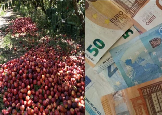 &Gamma;&iota;&alpha; Deminimis &sigma;&epsilon; &rho;&omicron;&delta;ά&kappa;&iota;&nu;&alpha; &kappa;&alpha;&iota; &alpha;&chi;&lambda;ά&delta;&iota;&alpha;,&alpha;&nu;&alpha;&mu;&pi;έ&lambda;&omega;&sigma;&eta;, &alpha;&pi;&omicron;&sigma;&tau;ά&xi;&eta; &kappa;.&alpha;. &theta;&alpha; &sigma;&upsilon;&zeta;&eta;&tau;ή&sigma;&epsilon;&iota; &sigma;&tau;&omicron;&nu; &Tau;ύ&rho;&nu;&alpha;&beta;&omicron; &alpha;ύ&rho;&iota;&omicron; &omicron; &upsilon;&pi;&omicron;&upsilon;&rho;&gamma;ό&sigmaf; &kappa;.&Alpha;&rho;&alpha;&chi;&omega;&beta;ί&tau;&eta;&sigmaf; &mu;&epsilon; &epsilon;&kappa;&pi;&rho;&omicron;&sigma;ώ&pi;&omicron;&upsilon;&sigmaf; &sigma;&upsilon;&lambda;&lambda;ό&gamma;&omega;&nu;