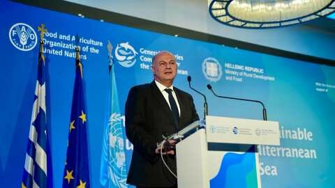 &Tau;&sigma;&iota;ά&rho;&alpha;&sigmaf;: &Omicron;&iota; &upsilon;&delta;&alpha;&tau;&omicron;&kappa;&alpha;&lambda;&lambda;&iota;έ&rho;&gamma;&epsilon;&iota;&epsilon;&sigmaf; &alpha;&pi;&omicron;&tau;&epsilon;&lambda;&omicron;ύ&nu; &pi;&rho;ό&tau;&upsilon;&pi;&omicron; &omicron;&iota;&kappa;&omicron;&nu;&omicron;&mu;&iota;&kappa;ή&sigmaf; &alpha;&nu;ά&pi;&tau;&upsilon;&xi;&eta;&sigmaf; &kappa;&alpha;&iota; &sigma;&upsilon;&nu;&epsilon;&iota;&sigma;&phi;έ&rho;&omicron;&upsilon;&nu; &sigma;&tau;&eta;&nu; &epsilon;&pi;&iota;&sigma;&iota;&tau;&iota;&sigma;&tau;&iota;&kappa;ή &epsilon;&pi;ά&rho;&kappa;&epsilon;&iota;&alpha; &kappa;&alpha;&iota; έ&chi;&omicron;&upsilon;&nu; &chi;&alpha;&mu;&eta;&lambda;ό &omicron;&iota;&kappa;&omicron;&lambda;&omicron;&gamma;&iota;&kappa;ό &alpha;&pi;&omicron;&tau;ύ&pi;&omega;&mu;&alpha;