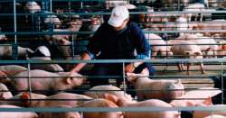 &Alpha;&nu;ί&chi;&nu;&epsilon;&upsilon;&sigma;&eta;, &Pi;&rho;ό&lambda;&eta;&psi;&eta;, &Alpha;&nu;&alpha;&phi;&omicron;&rho;ά: &Eta; &epsilon;&kappa;&sigma;&tau;&rho;&alpha;&tau;&epsilon;ί&alpha; &tau;&eta;&sigmaf; EFSA &gamma;&iota;&alpha; &tau;&eta;&nu; &Alpha;&phi;&rho;&iota;&kappa;&alpha;&nu;&iota;&kappa;ή &Pi;&alpha;&nu;ώ&lambda;&eta; &tau;&omega;&nu; &Chi;&omicron;ί&rho;&omega;&nu; &sigma;&upsilon;&nu;&epsilon;&chi;ί&zeta;&epsilon;&tau;&alpha;&iota; &gamma;&iota;&alpha; 3&eta; &chi;&rho;&omicron;&nu;&iota;ά, &mu;&epsilon; &sigma;&tau;&alpha;&theta;&epsilon;&rho;ή &sigma;&upsilon;&mu;&mu;&epsilon;&tau;&omicron;&chi;ή &tau;&eta;&sigmaf; &Epsilon;&lambda;&lambda;ά&delta;&alpha;&sigmaf;