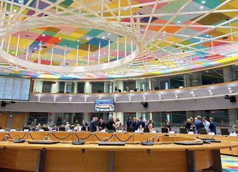 &Tau;&iota; &zeta;&eta;&tau;&epsilon;ί &omicron; Y&pi;&Alpha;&Alpha;&Tau; &Lambda;&epsilon;&upsilon;&tau;έ&rho;&eta;&sigmaf; &Alpha;&upsilon;&gamma;&epsilon;&nu;ά&kappa;&eta;&sigmaf; &alpha;&pi;ό &tau;&omicron;&upsilon;&sigmaf; &upsilon;&pi;&omicron;&upsilon;&rho;&gamma;&omicron;ύ&sigmaf; &Gamma;&epsilon;&omega;&rho;&gamma;ί&alpha;&sigmaf; &tau;&eta;&sigmaf; &Epsilon;&Epsilon; &gamma;&iota;&alpha; &Theta;&epsilon;&sigma;&sigma;&alpha;&lambda;ί&alpha;, Έ&beta;&rho;&omicron; &kappa;&alpha;&iota; &Rho;ό&delta;&omicron;