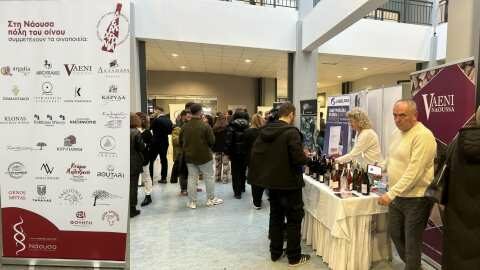 &Mu;&epsilon; &epsilon;&pi;&iota;&tau;&upsilon;&chi;ί&alpha; &sigma;&tau;έ&phi;&tau;&eta;&kappa;&epsilon; &eta; 10&eta; &epsilon;&pi;&epsilon;&tau;&epsilon;&iota;&alpha;&kappa;ή &laquo;&Nu;ά&omicron;&upsilon;&sigma;&alpha; - &Pi;ό&lambda;&eta; &tau;&omicron;&upsilon; &Omicron;ί&nu;&omicron;&upsilon;&raquo; !